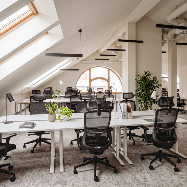 Lark, Adjustable Lumbar Ergonomic Office Chair