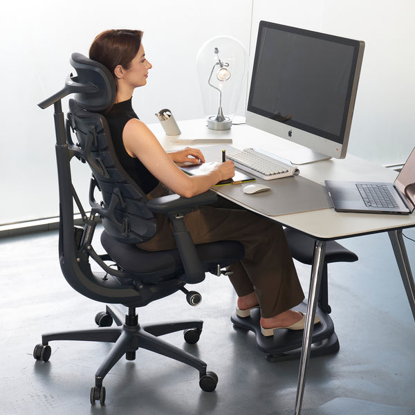 LiberNovo Omni, Ergonomic Office Chair
