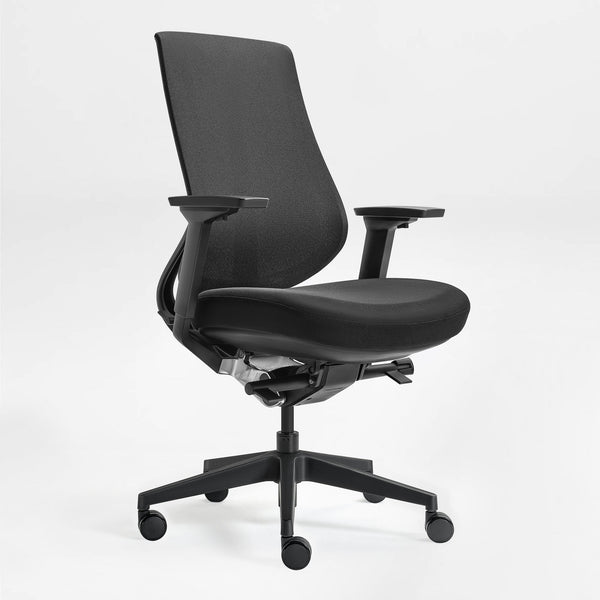 Eureka Ergonomic Lira, Meah Ergonomic Office Chair, Black 45