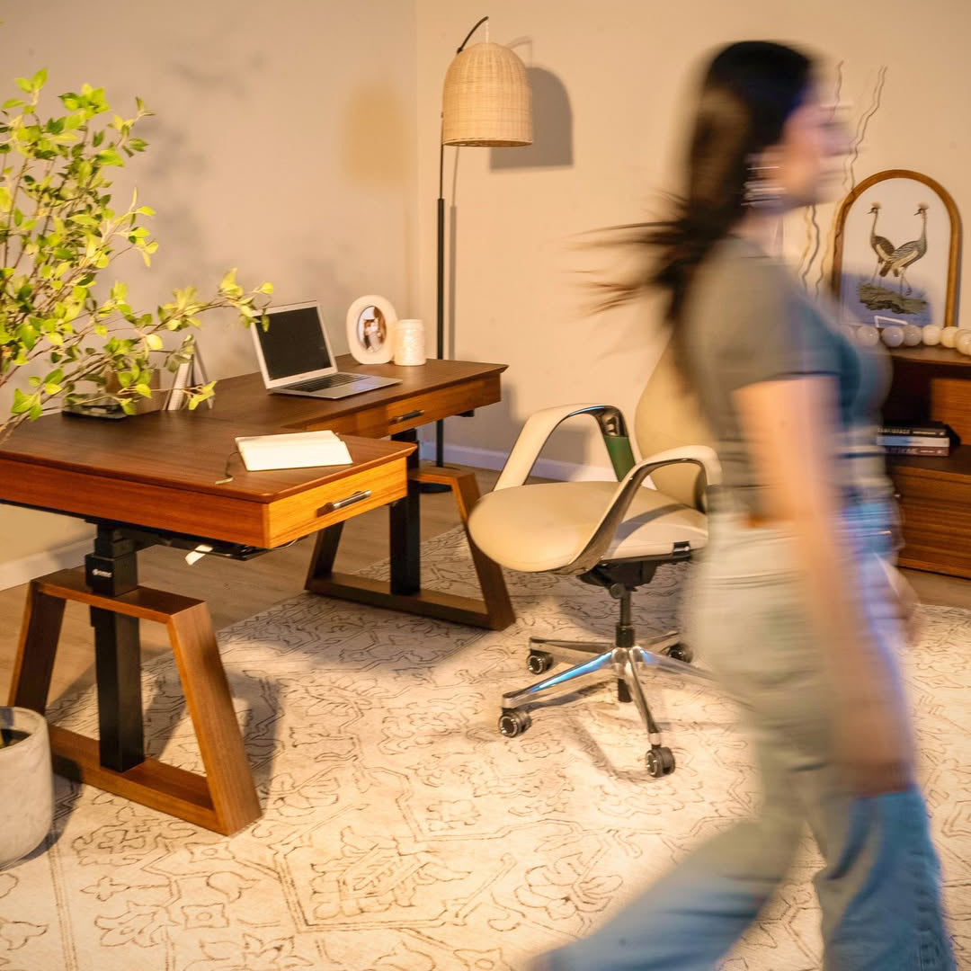 Eureka Ergonomic Business