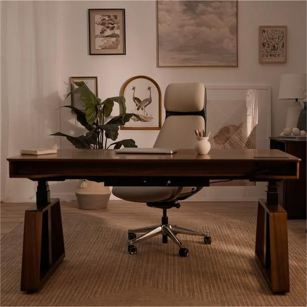 Eureka Ergonomic Business