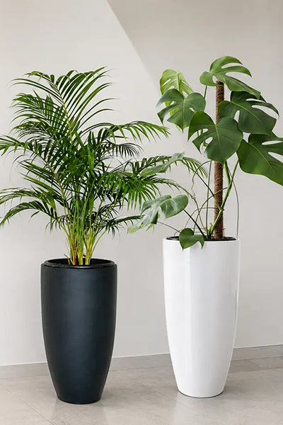 Plants