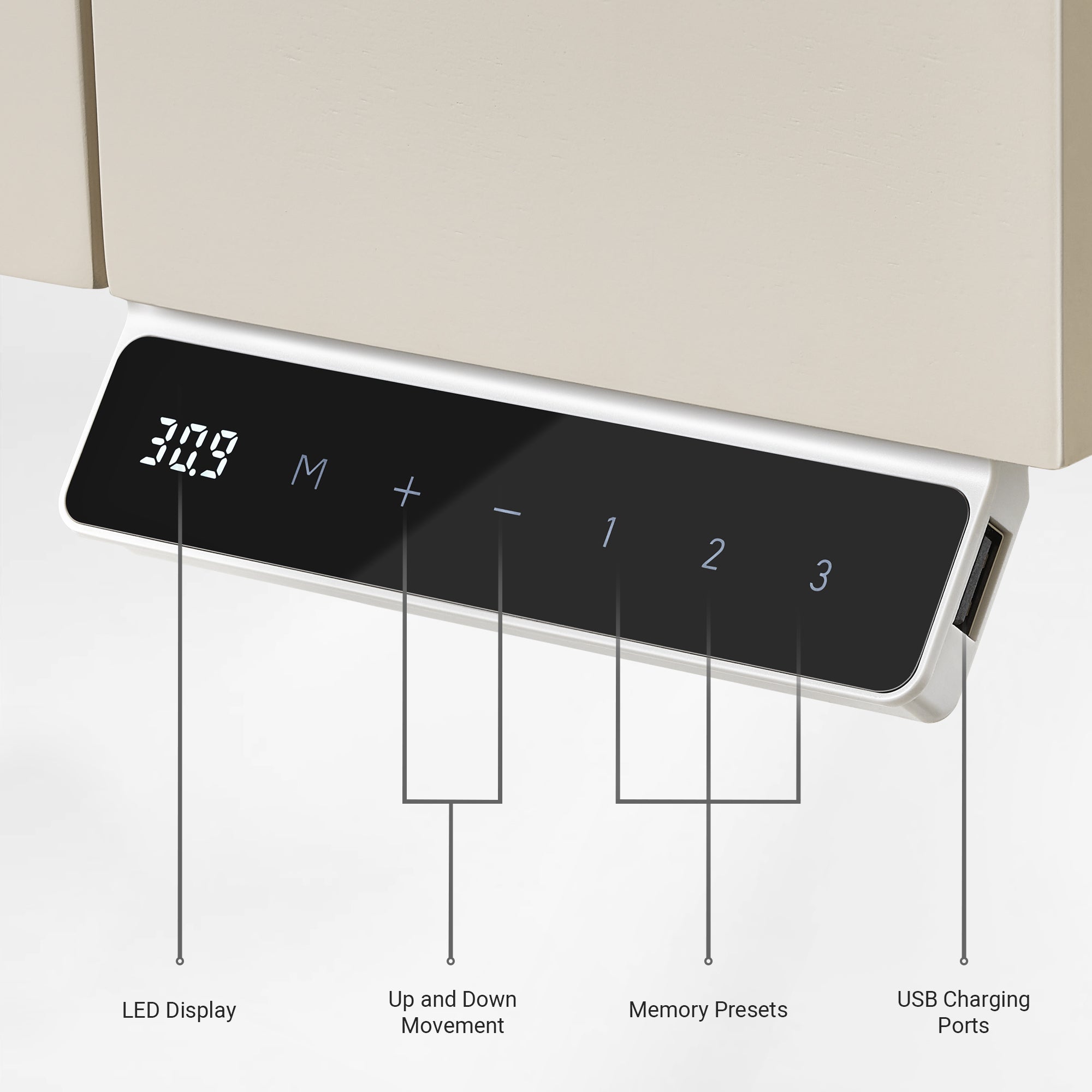 Eureka Ergonomic Ark Executive Standing Desk with Control Panel.