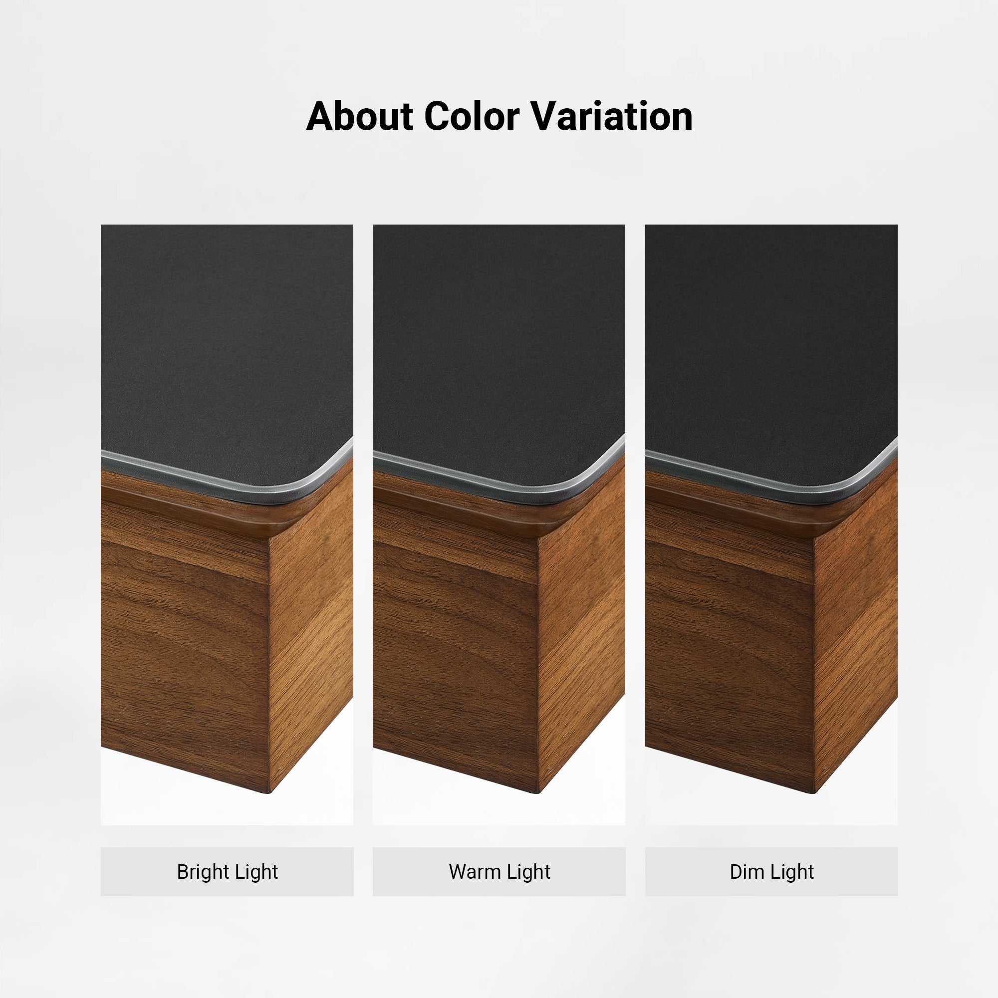 Eureka Ergonomic Ark Standing Desk: Color Variation Notice