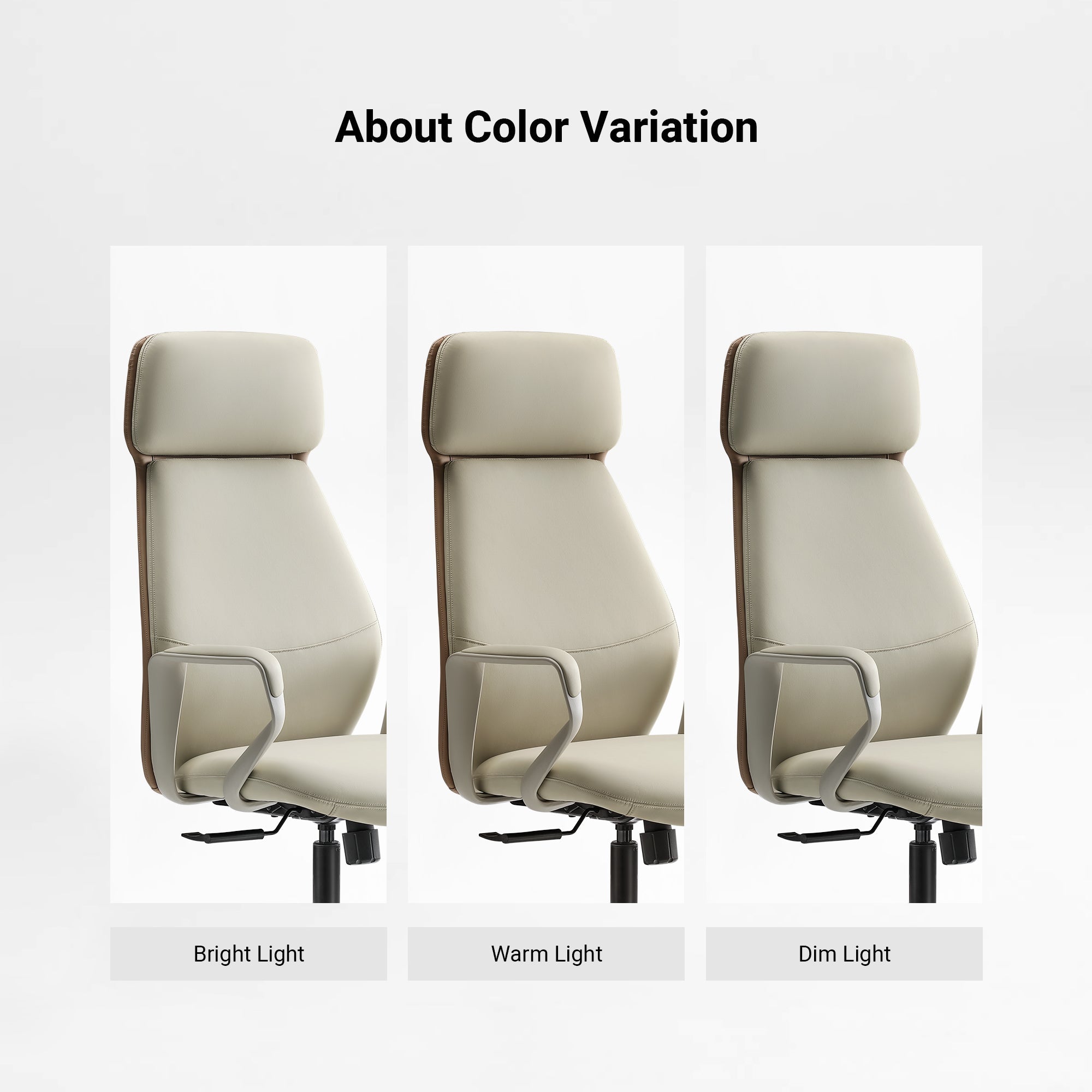 Eureka Ergonomic Aric Faux Leather Executive Office Chair front showcasing color variation under warm, bright, and dim light.