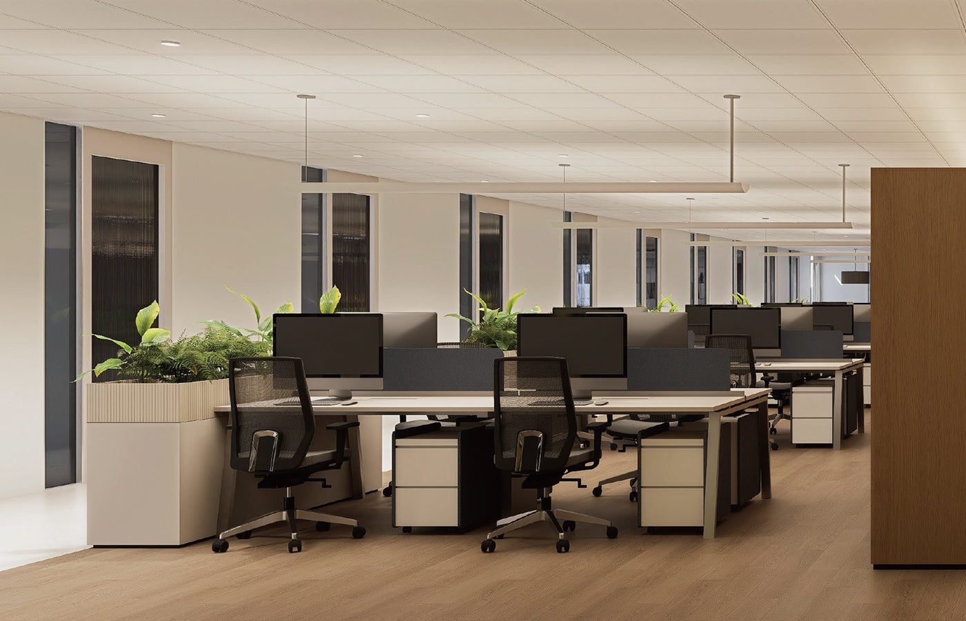 <strong>Assistant Workstation Area</strong>