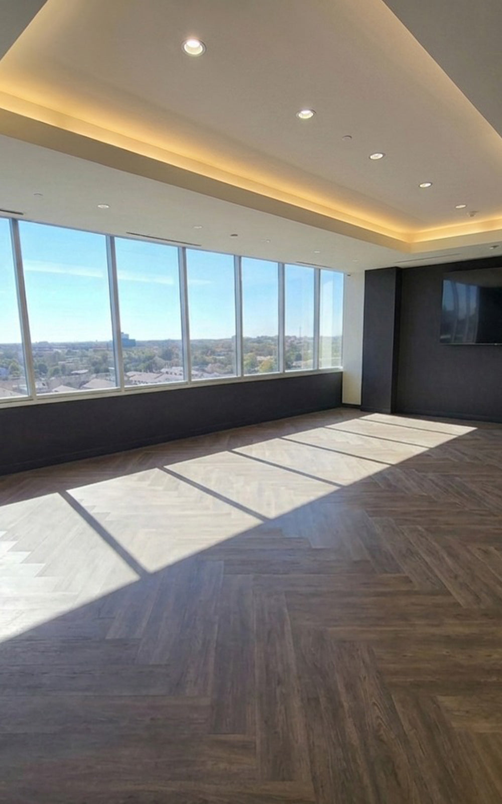 Eureka Ergonomic Business