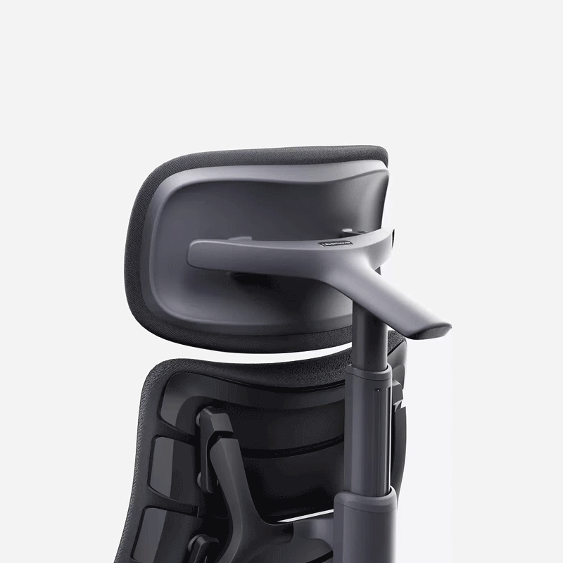 LiberNovo Omni, Ergonomic Office Chair