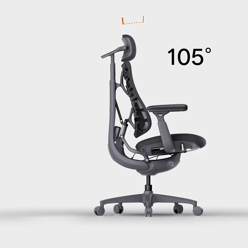 LiberNovo Omni, Ergonomic Office Chair