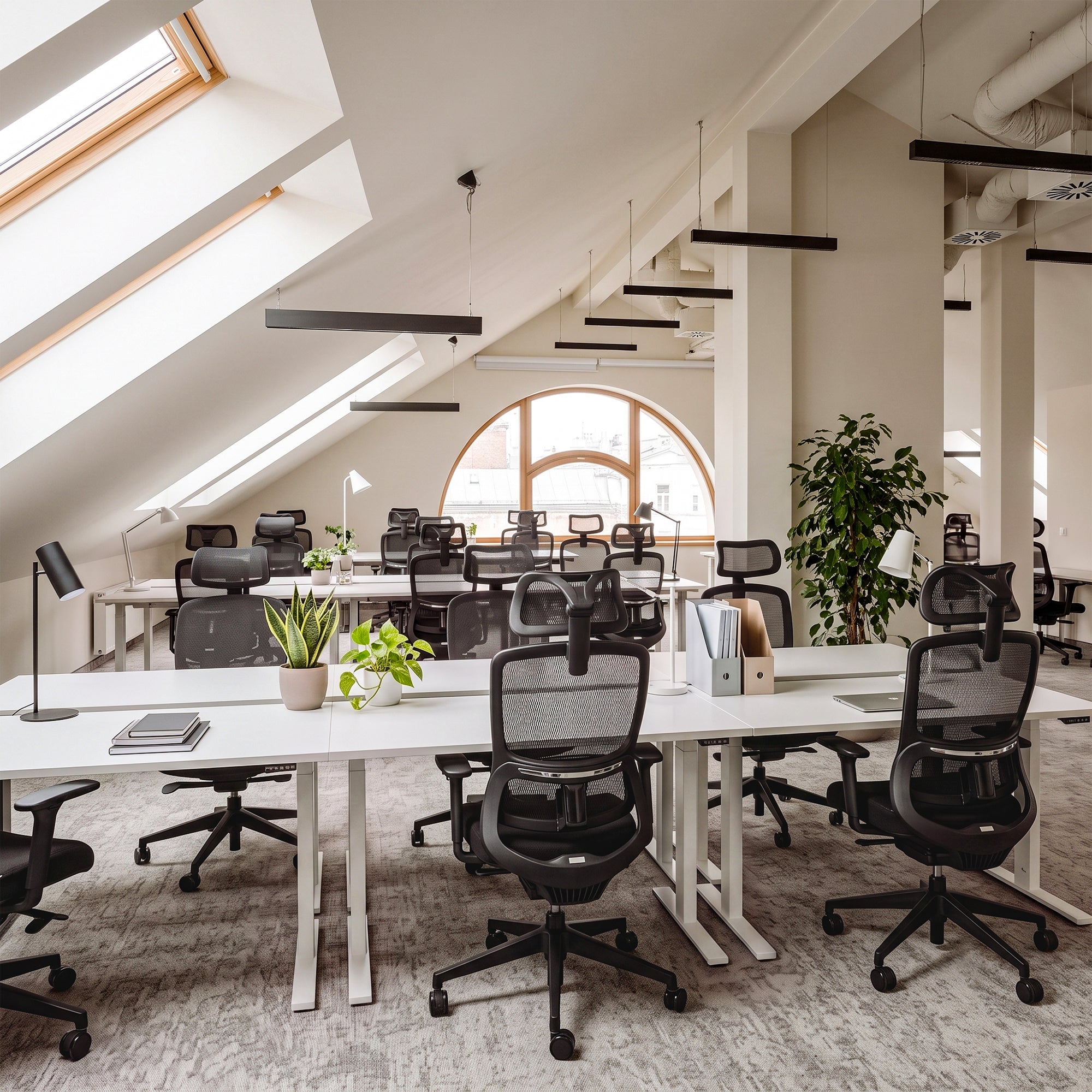Lark, Adjustable Lumbar Ergonomic Office Chair