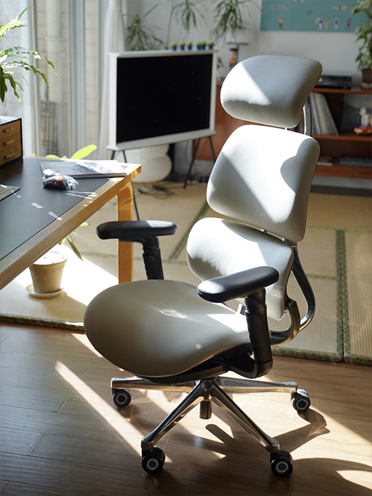 Eureka Ergonomic Business
