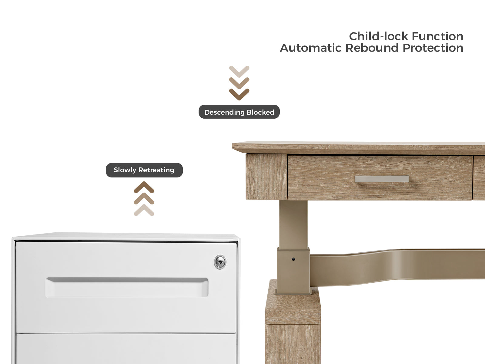 Eureka Ergonomic Business