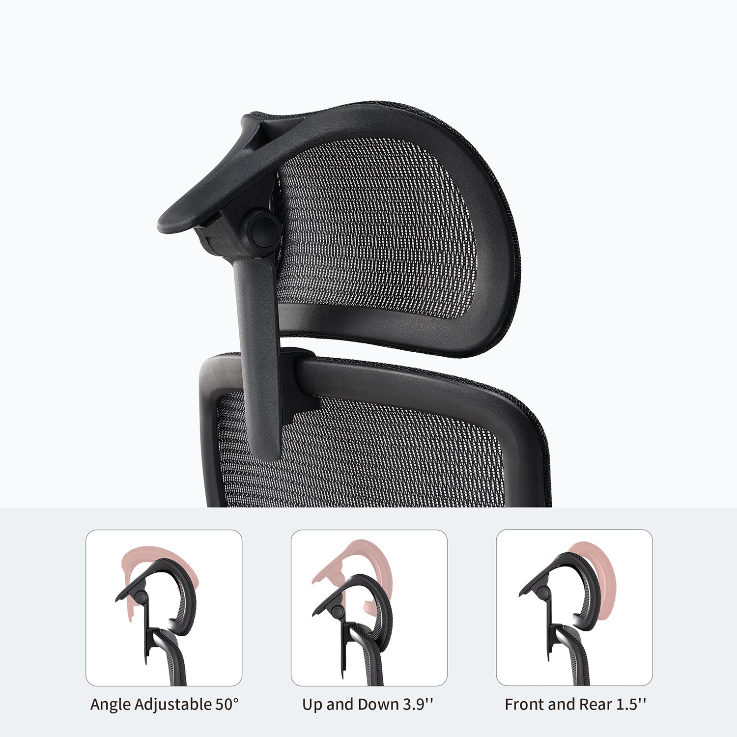 Eureka Ergonomic Business
