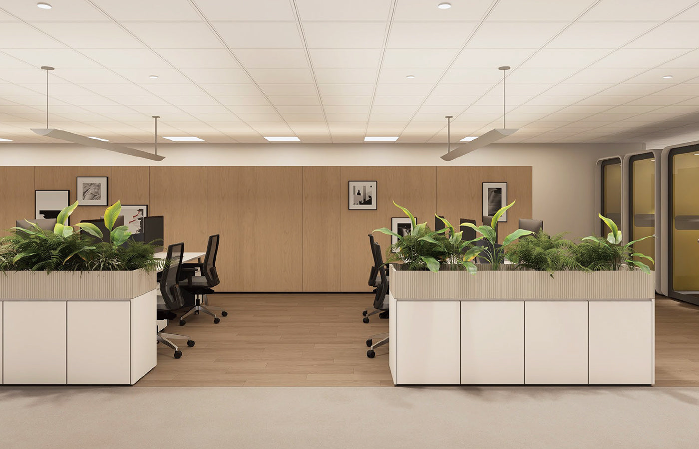<strong>Assistant Workstation Area</strong>