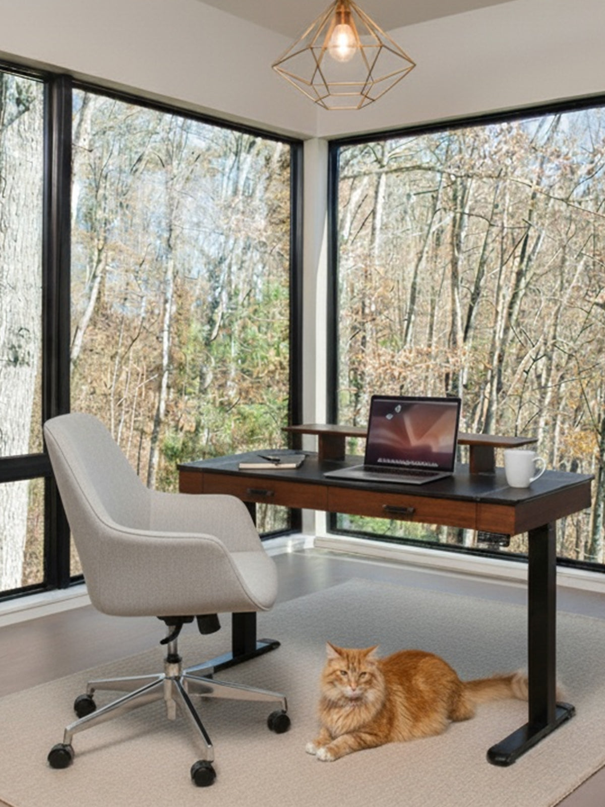 Eureka Ergonomic Business