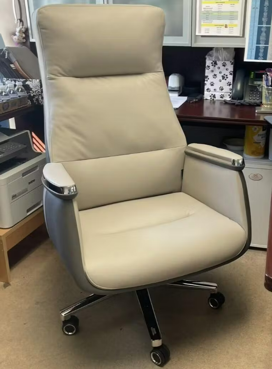 Eureka Ergonomic Business