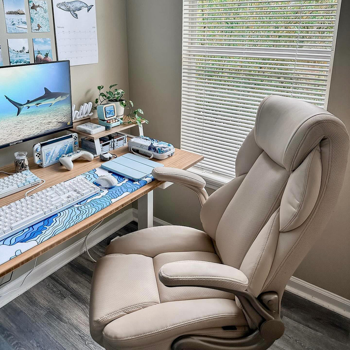 Eureka Ergonomic Business