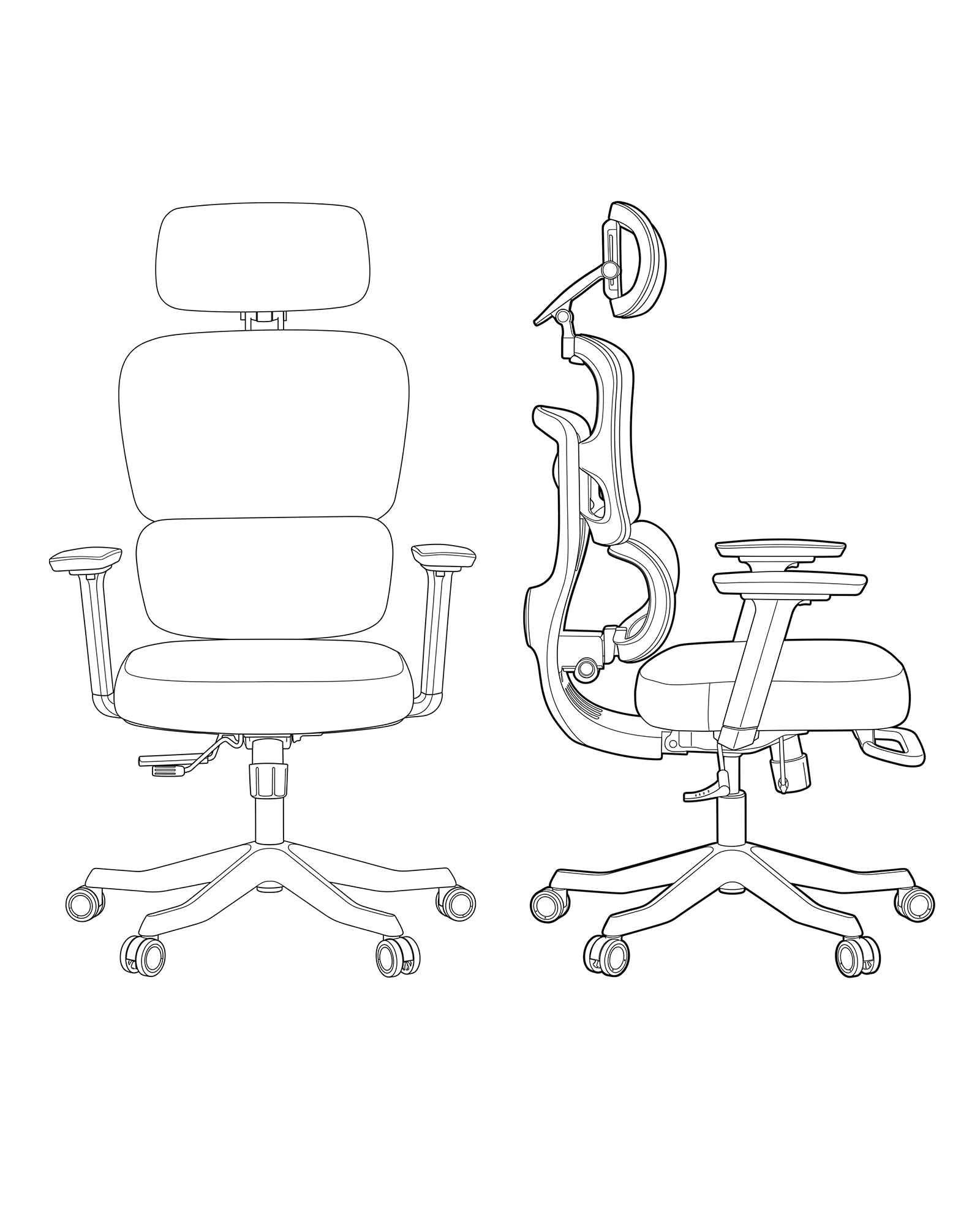 Eureka Ergonomic Business