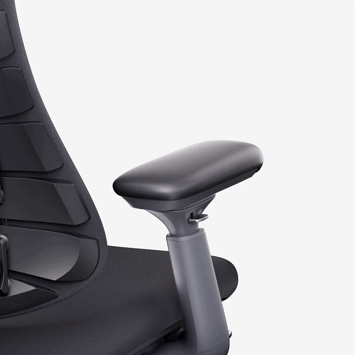 LiberNovo Omni, Ergonomic Office Chair