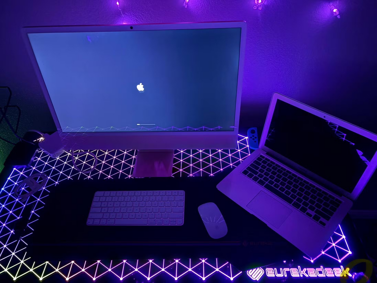 Eureka Ergonomic Business