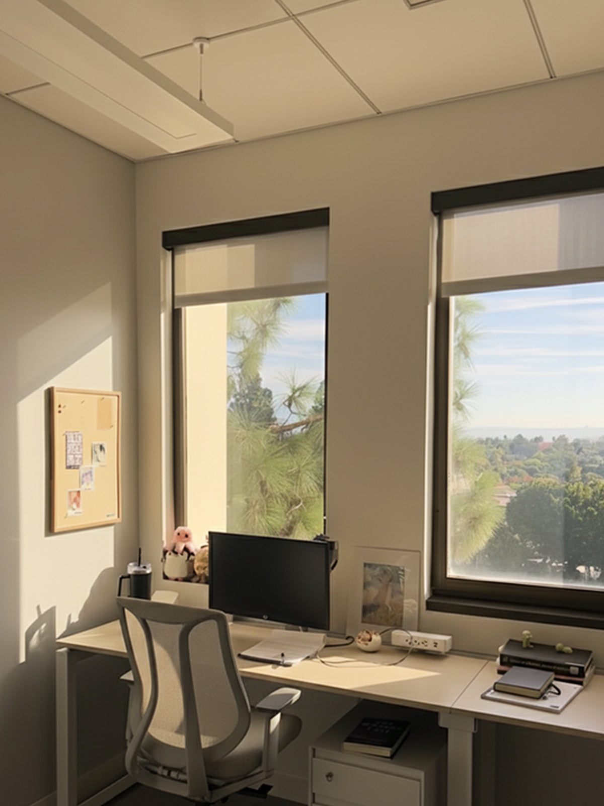 Eureka Ergonomic Business