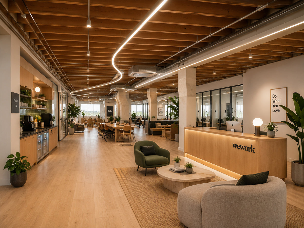 Eureka Ergonomic Business