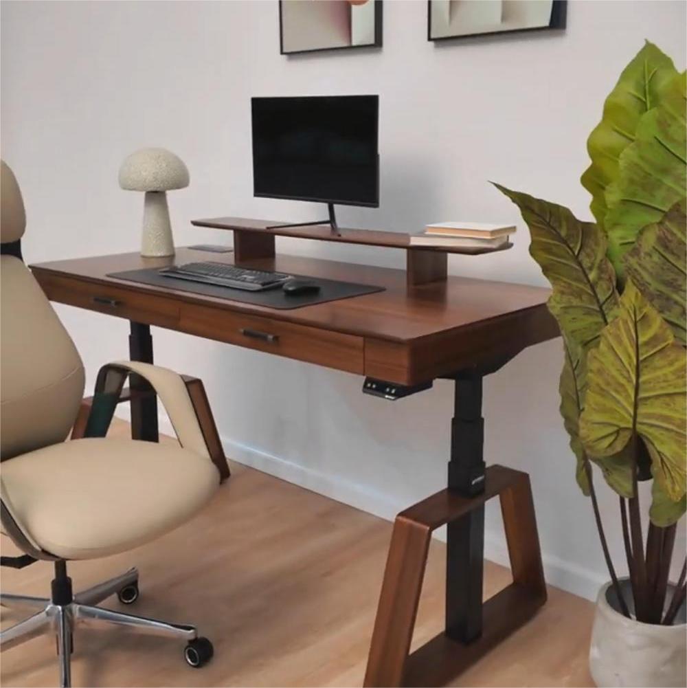 Eureka Ergonomic Business