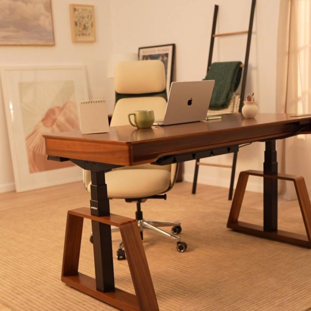 Eureka Ergonomic Business