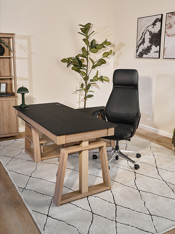 Eureka Ergonomic Business