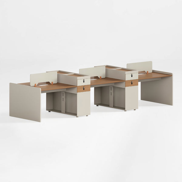 Coworking Partition Workstation