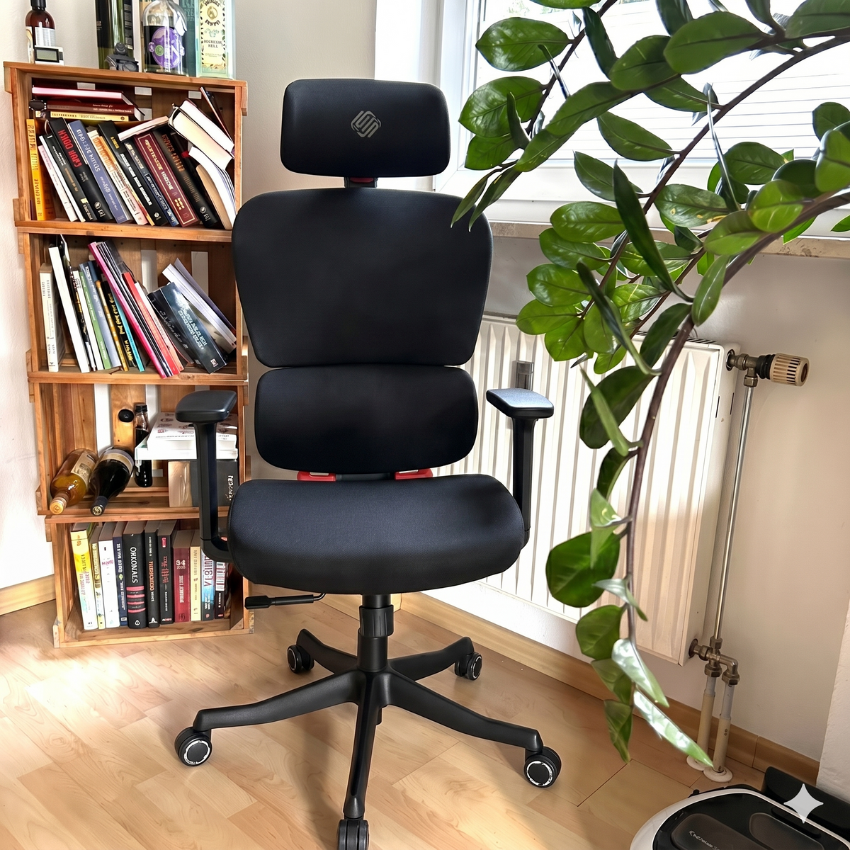 Eureka Ergonomic Business