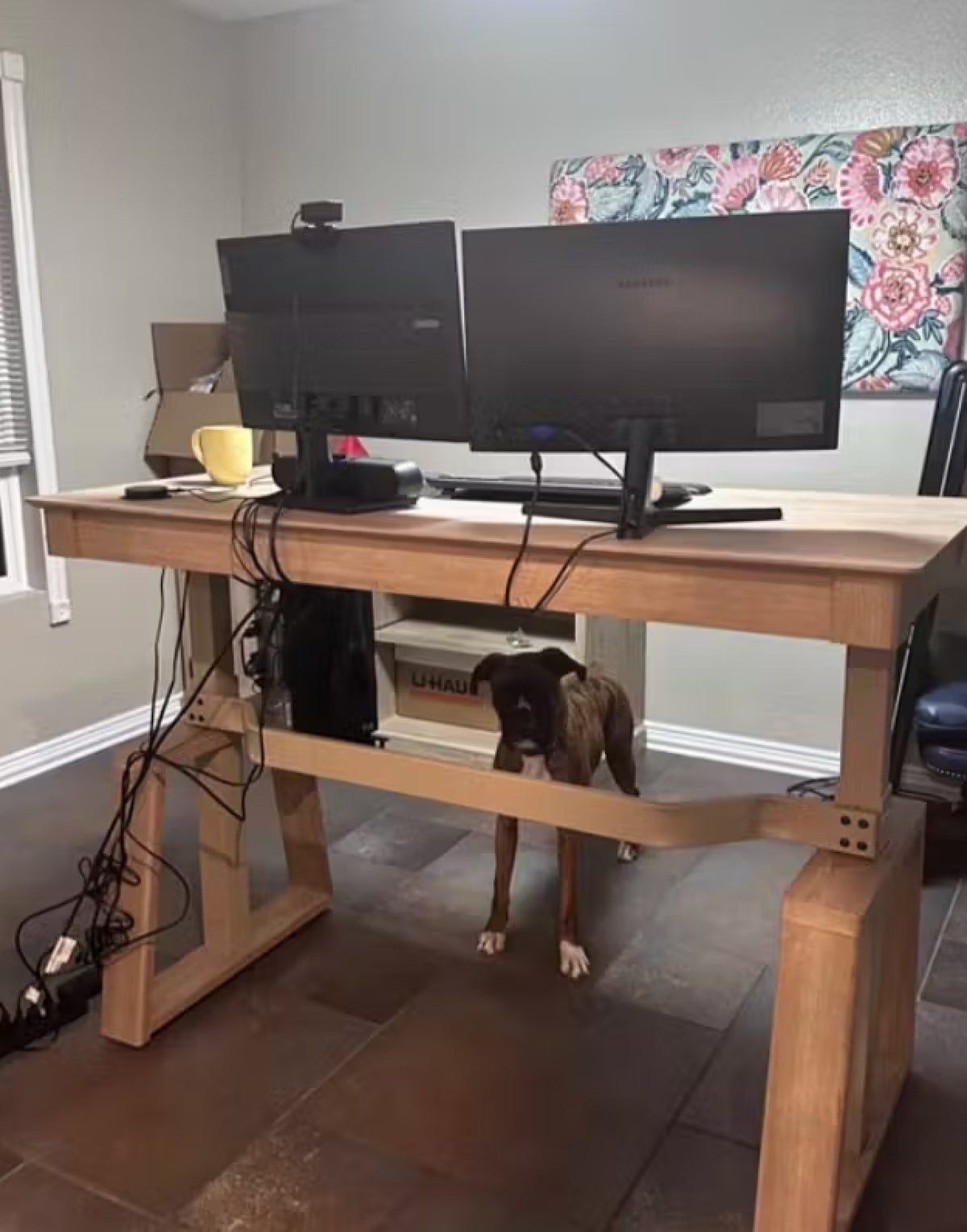 Eureka Ergonomic Business