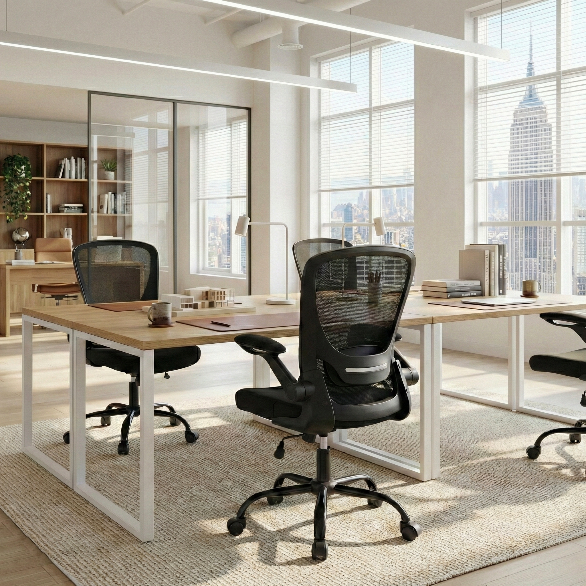 Eureka Ergonomic Business