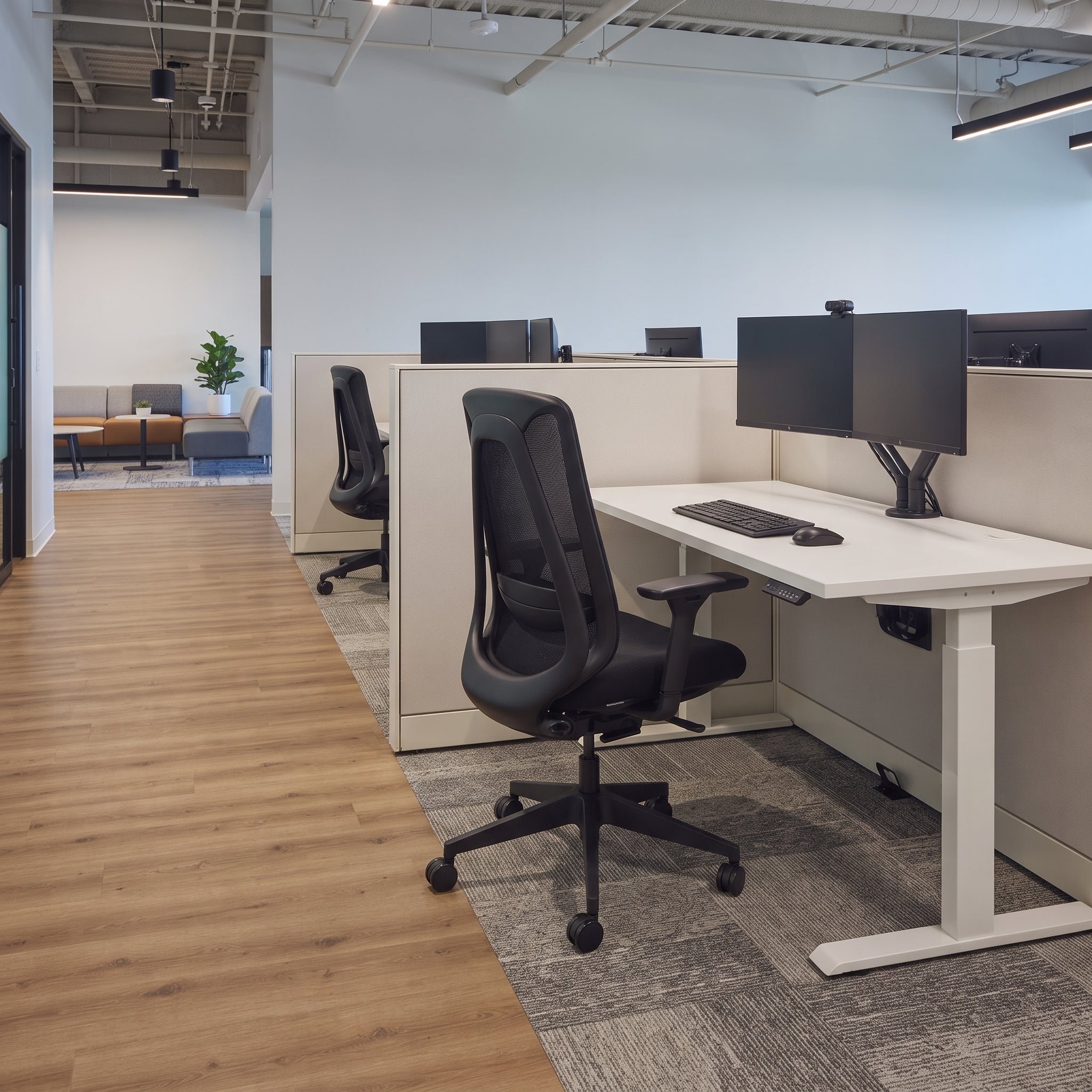 Eureka Ergonomic Business
