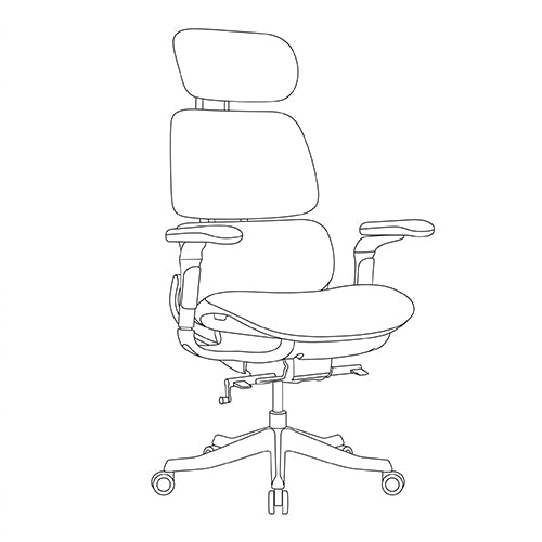 Eureka Ergonomic Business