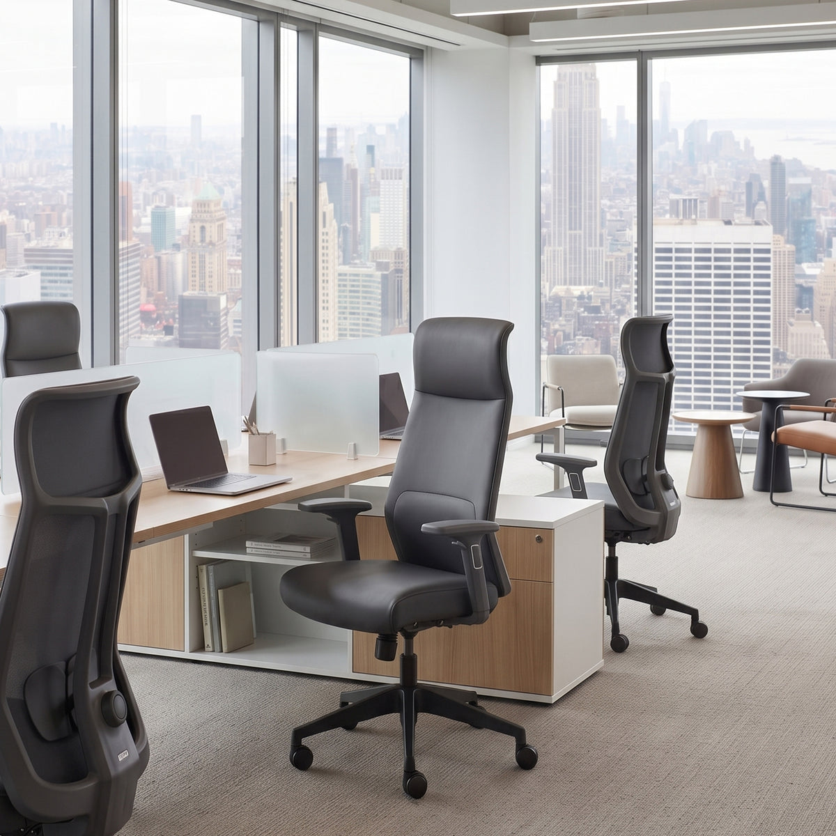 Eureka Ergonomic Valen chairs lining window-side office desks