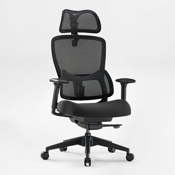 Lark, Adjustable Lumbar Ergonomic Office Chair