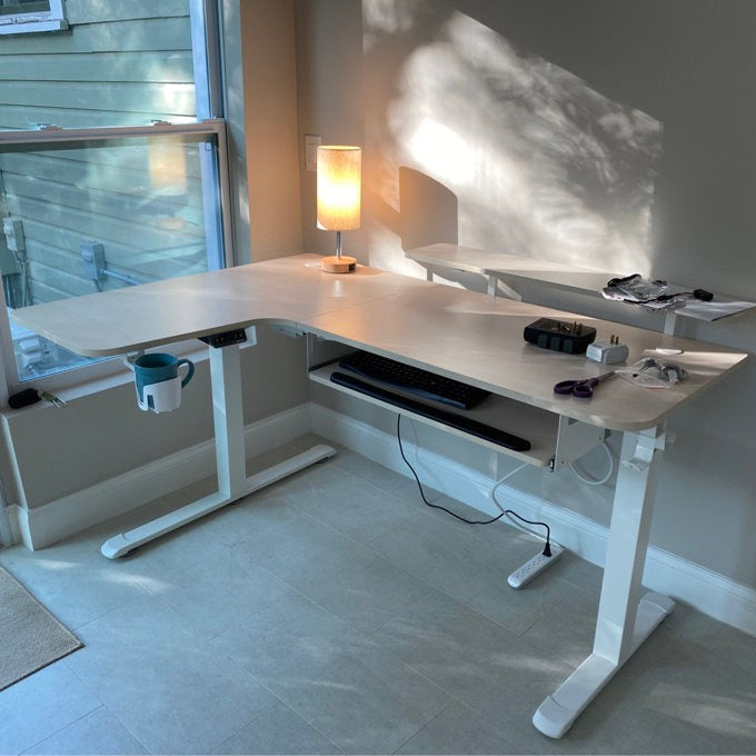 Eureka Ergonomic Business