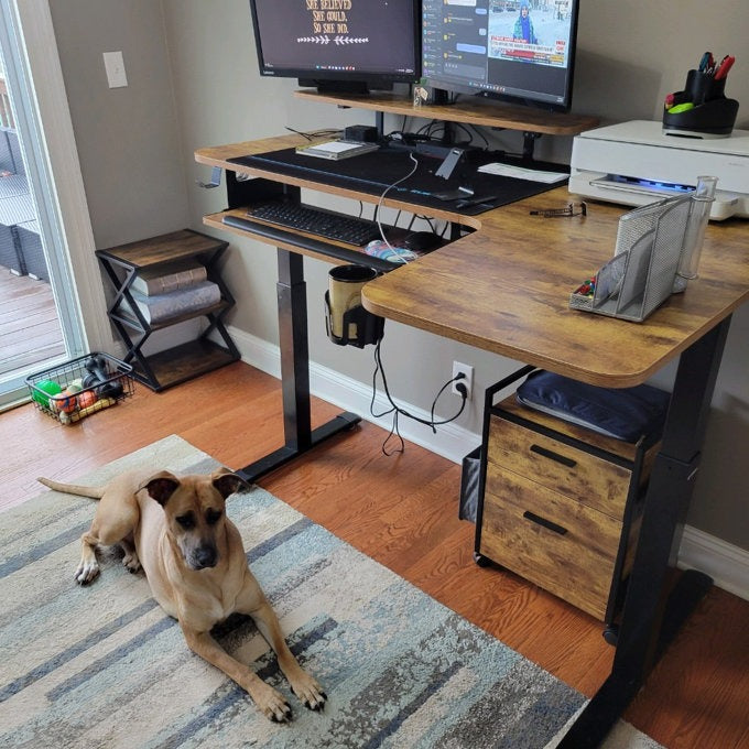 Eureka Ergonomic Business