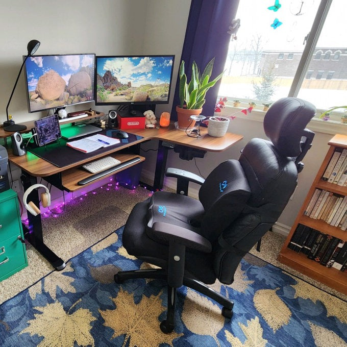 Eureka Ergonomic Business