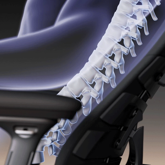 LiberNovo Omni, Ergonomic Office Chair