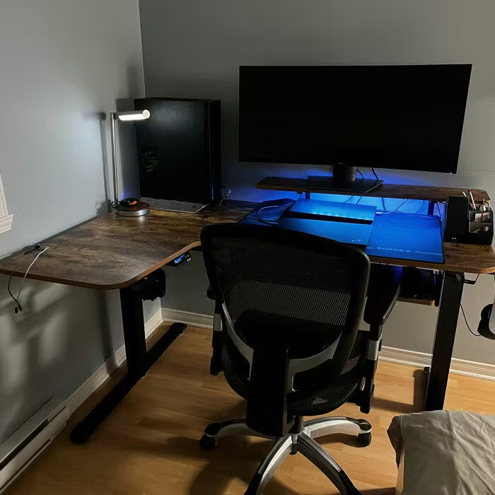Eureka Ergonomic Business