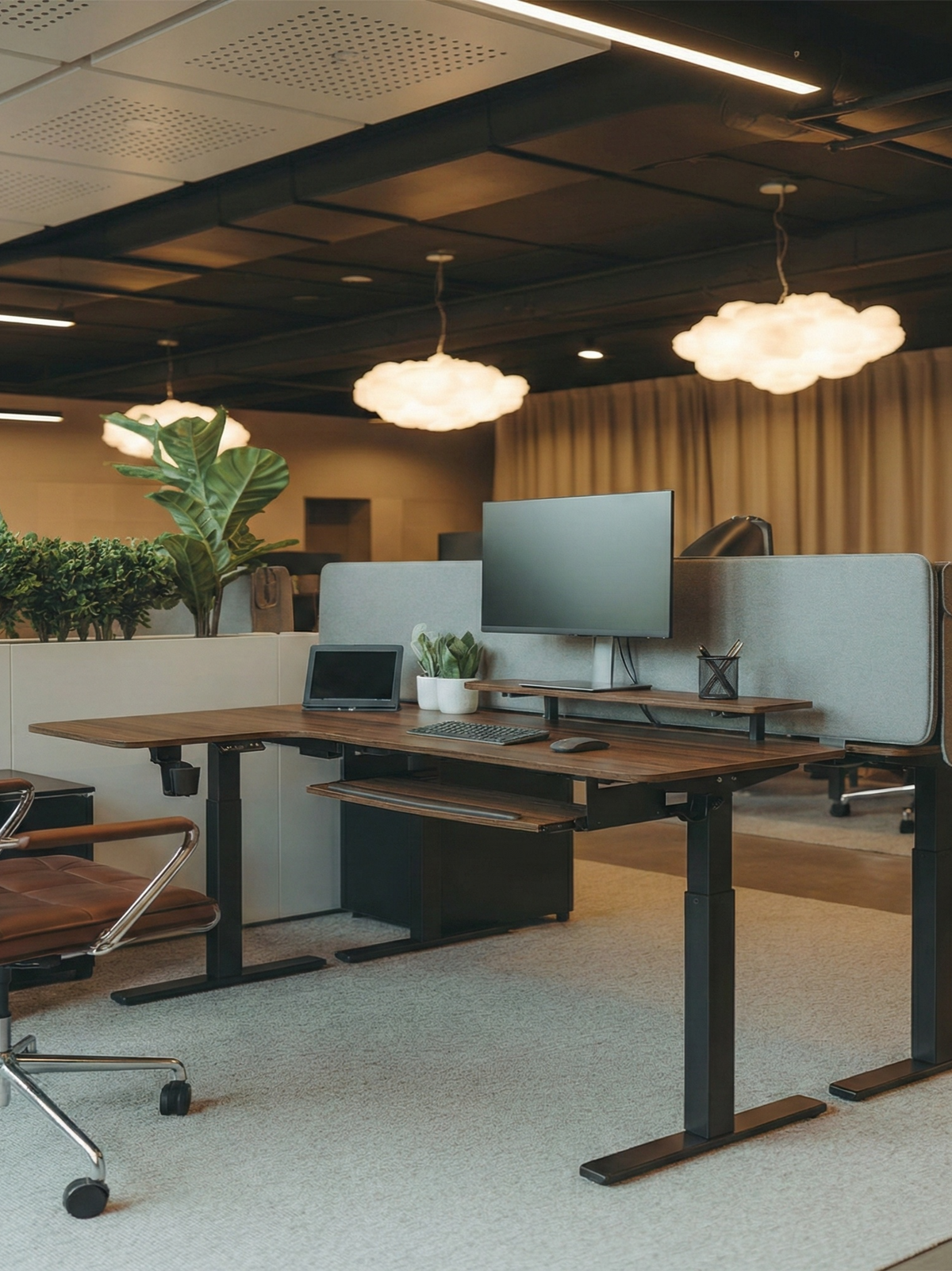 Eureka Ergonomic Business