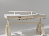 Ark Executive Standing Desk | Eureka Ergonomic