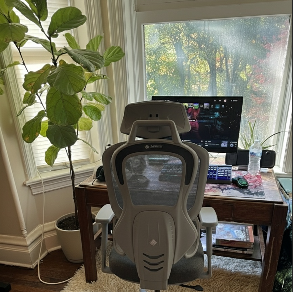 Eureka Ergonomic Business