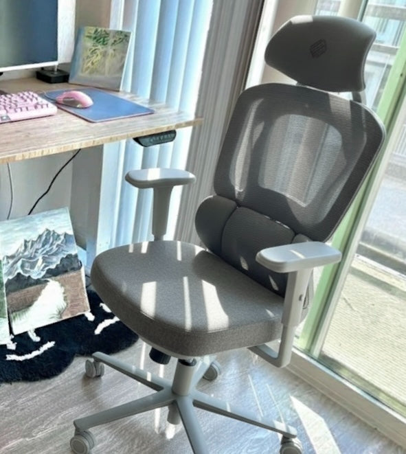 Eureka Ergonomic Business